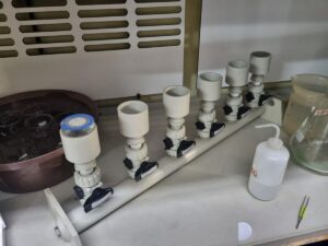 Gallery-16